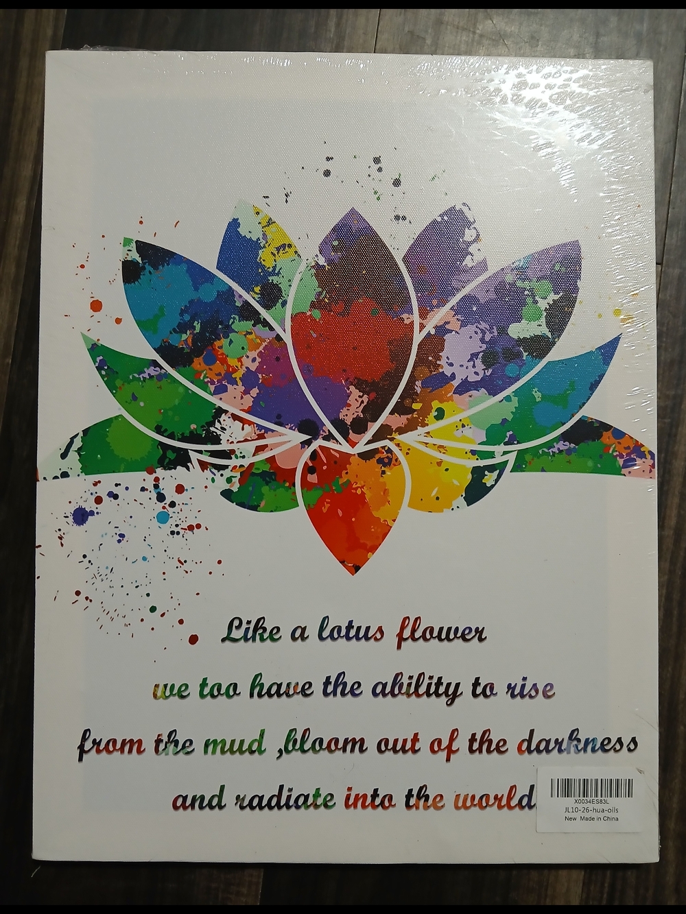 Inspirational Rainbow Lotus Wall Art Canvas - Multicolor